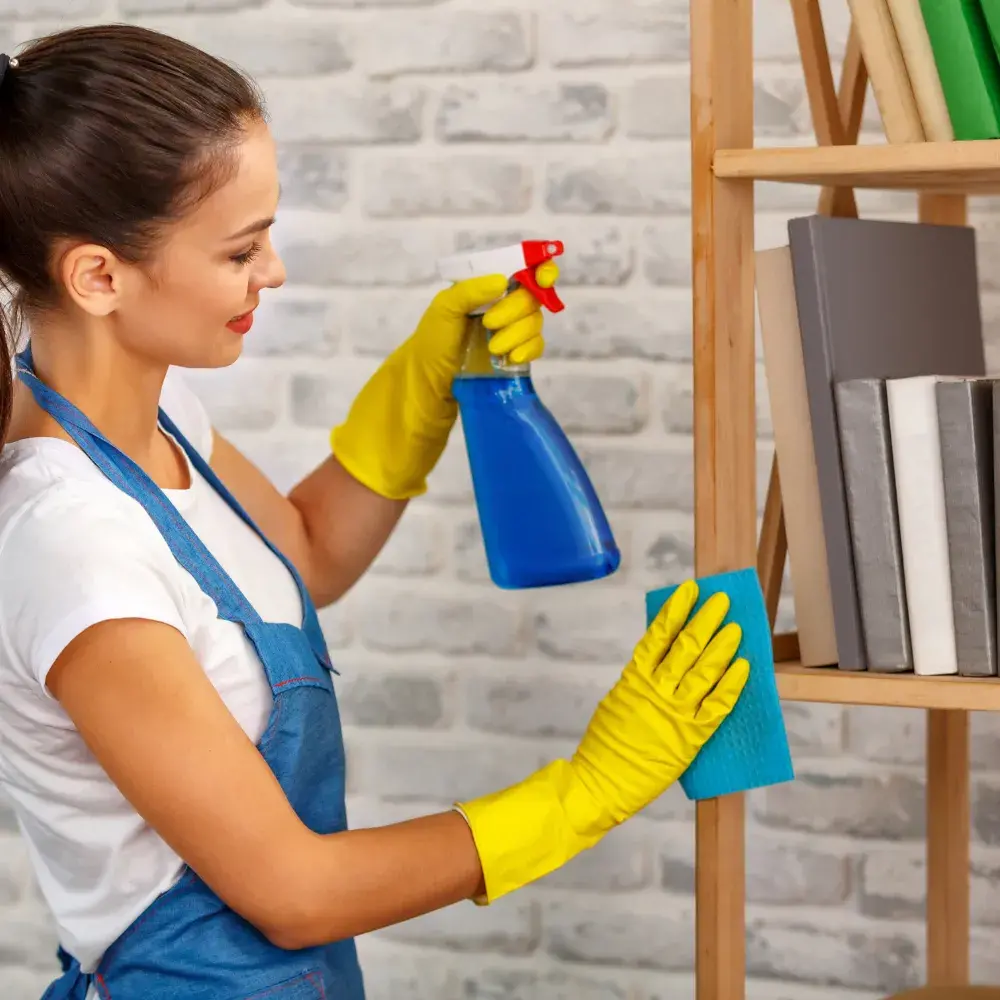 Home Cleanings in bronx